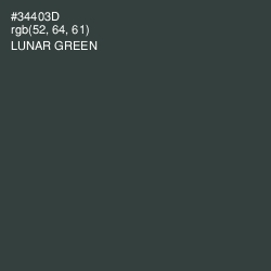 #34403D - Lunar Green Color Image