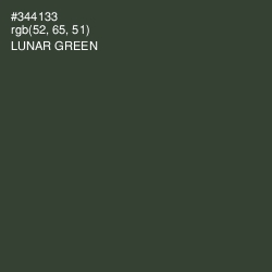 #344133 - Lunar Green Color Image