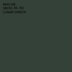 #344138 - Lunar Green Color Image