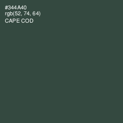 #344A40 - Cape Cod Color Image