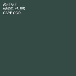#344A44 - Cape Cod Color Image