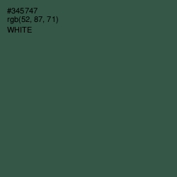 #345747 - Stromboli Color Image