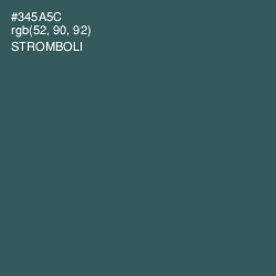 #345A5C - Stromboli Color Image