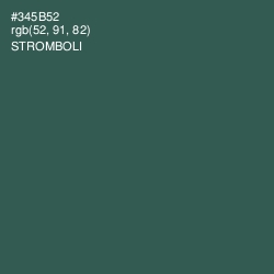 #345B52 - Stromboli Color Image