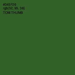 #345F26 - Tom Thumb Color Image