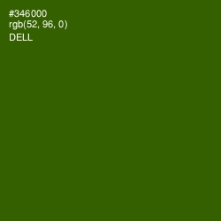 #346000 - Dell Color Image
