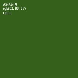 #34601B - Dell Color Image