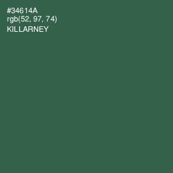 #34614A - Killarney Color Image