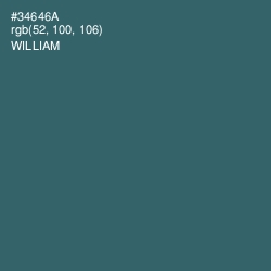 #34646A - William Color Image