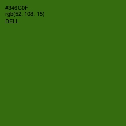 #346C0F - Dell Color Image