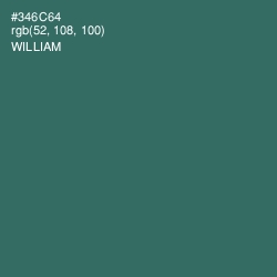#346C64 - William Color Image