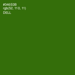 #346E0B - Dell Color Image