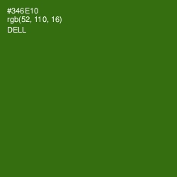 #346E10 - Dell Color Image