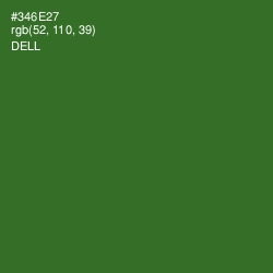 #346E27 - Dell Color Image