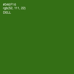 #346F16 - Dell Color Image