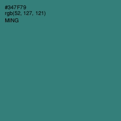 #347F79 - Ming Color Image