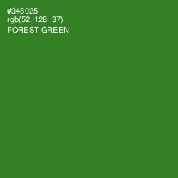#348025 - Forest Green Color Image