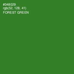 #348029 - Forest Green Color Image