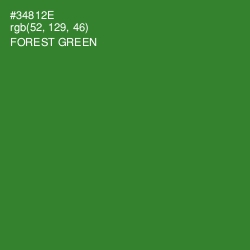 #34812E - Forest Green Color Image
