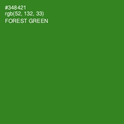 #348421 - Forest Green Color Image