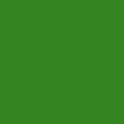 #348422 - Forest Green Color Image