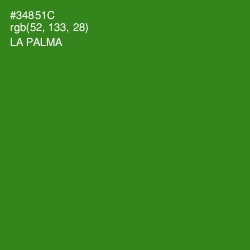 #34851C - La Palma Color Image