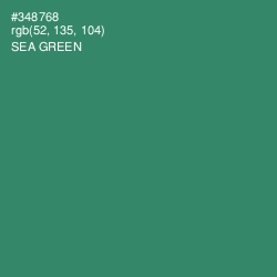 #348768 - Sea Green Color Image