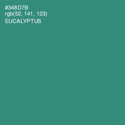 #348D7B - Eucalyptus Color Image