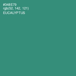 #348E79 - Eucalyptus Color Image