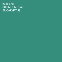 #348E7B - Eucalyptus Color Image