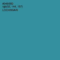 #34909D - Lochinvar Color Image