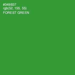 #349B37 - Forest Green Color Image