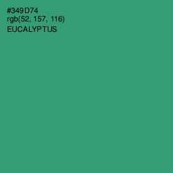 #349D74 - Eucalyptus Color Image