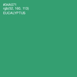 #34A071 - Eucalyptus Color Image