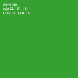 #34A130 - Forest Green Color Image