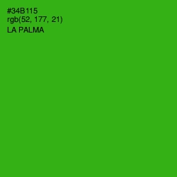 #34B115 - La Palma Color Image
