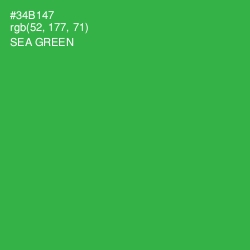 #34B147 - Sea Green Color Image