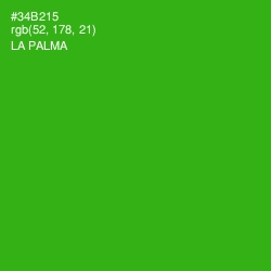 #34B215 - La Palma Color Image