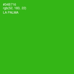#34B716 - La Palma Color Image