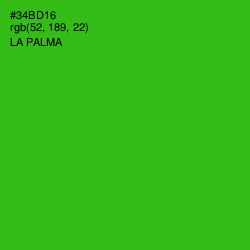 #34BD16 - La Palma Color Image