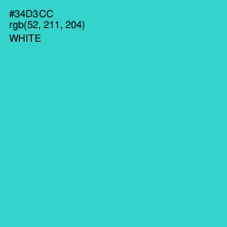 #34D3CC - Turquoise Color Image