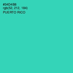 #34D4B8 - Puerto Rico Color Image