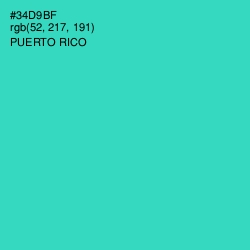 #34D9BF - Puerto Rico Color Image