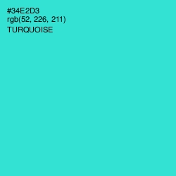 #34E2D3 - Turquoise Color Image