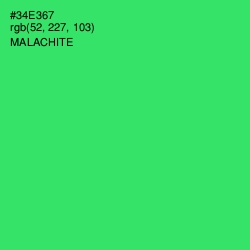 #34E367 - Malachite Color Image