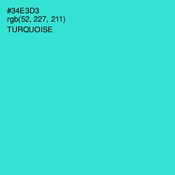 #34E3D3 - Turquoise Color Image