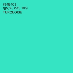 #34E4C3 - Turquoise Color Image