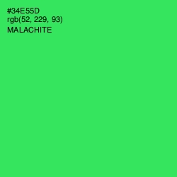 #34E55D - Malachite Color Image