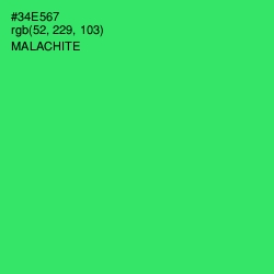 #34E567 - Malachite Color Image
