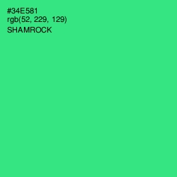 #34E581 - Shamrock Color Image